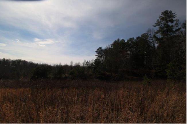 6 Yellow Nugget Road Tellico Plains, TN 37385 - Photo 22 of 34 Oddo pic 14