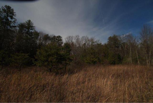 6 Yellow Nugget Road Tellico Plains, TN 37385 - Photo 23 of 34 Oddo pic 15