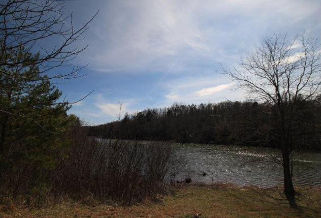 6 Yellow Nugget Road Tellico Plains, TN 37385 - Photo 29 of 34 Oddo pic 21