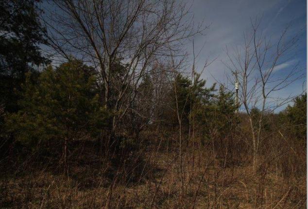 6 Yellow Nugget Road Tellico Plains, TN 37385 - Photo 30 of 34 Oddo pic 22