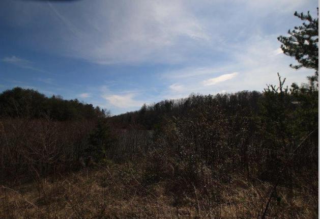 6 Yellow Nugget Road Tellico Plains, TN 37385 - Photo 31 of 34 Oddo pic 23
