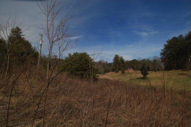 6 Yellow Nugget Road Tellico Plains, TN 37385 - Photo 9 of 34 Oddo pic 5