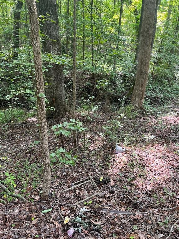 249 Godfrey Road Forest City, NC 28043 - Photo 11 of 12 Gallery Image 11