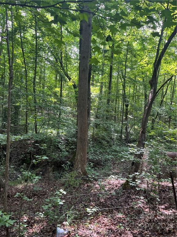 249 Godfrey Road Forest City, NC 28043 - Photo 12 of 12 Gallery Image 12