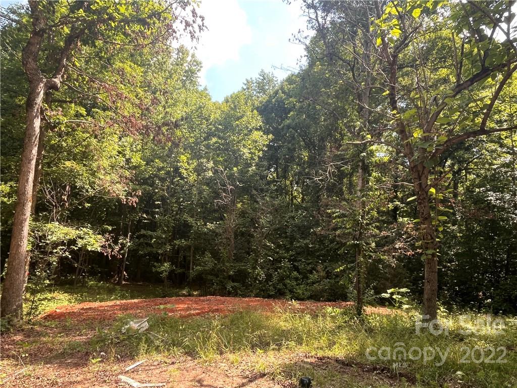 249 Godfrey Road Forest City, NC 28043 - Photo 2 of 12 Gallery Image 2