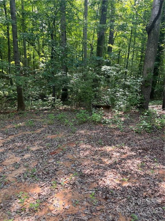 249 Godfrey Road Forest City, NC 28043 - Photo 7 of 12 Gallery Image 7