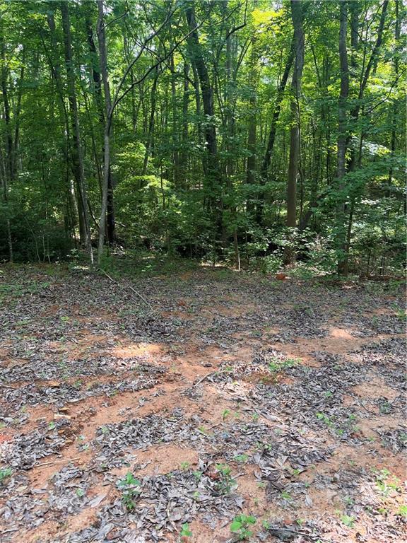 249 Godfrey Road Forest City, NC 28043 - Photo 8 of 12 Gallery Image 8