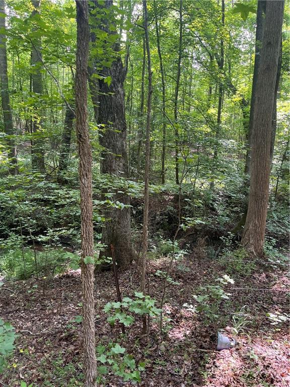 249 Godfrey Road Forest City, NC 28043 - Photo 10 of 12 Gallery Image 10