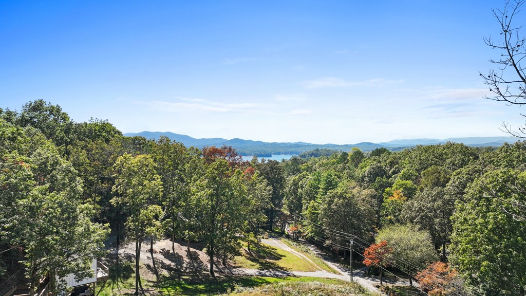 193 Garren Cove Road Morganton, GA 30560 - Photo 17 of 50