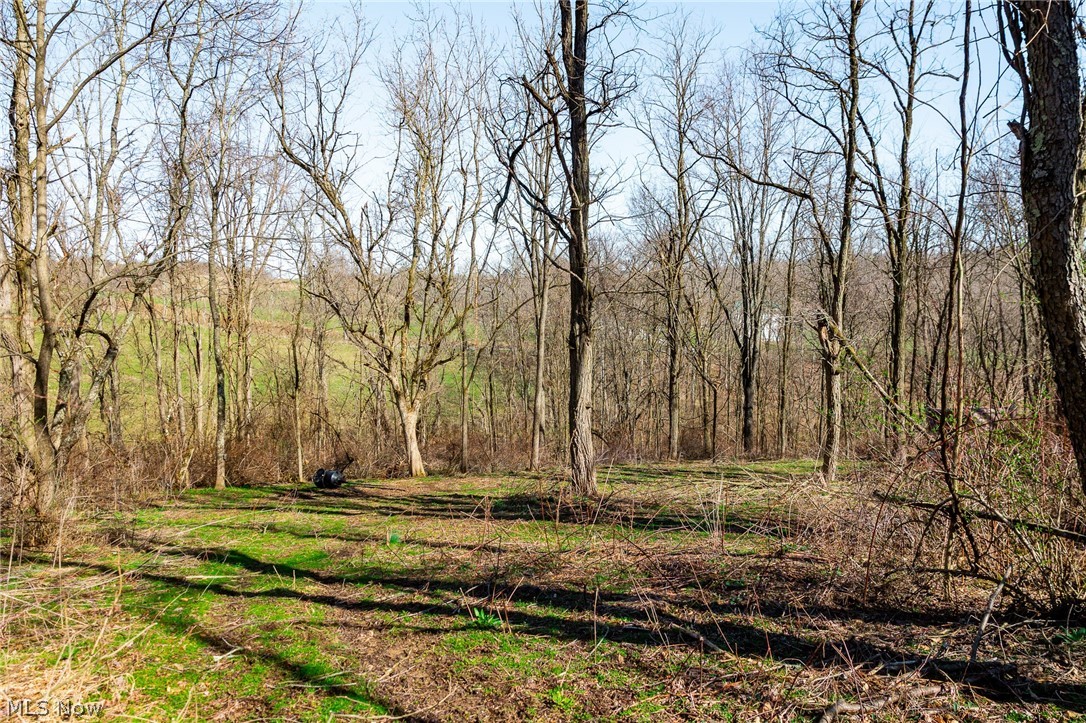 135 Township Road Adena, OH 43901 - Photo 13 of 47