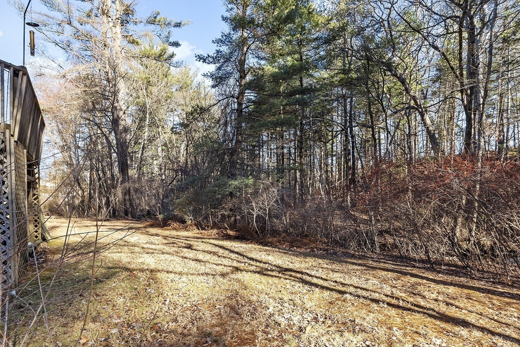 48 Meadowbrook Road Bedford, MA 01730 - Photo 22 of 24