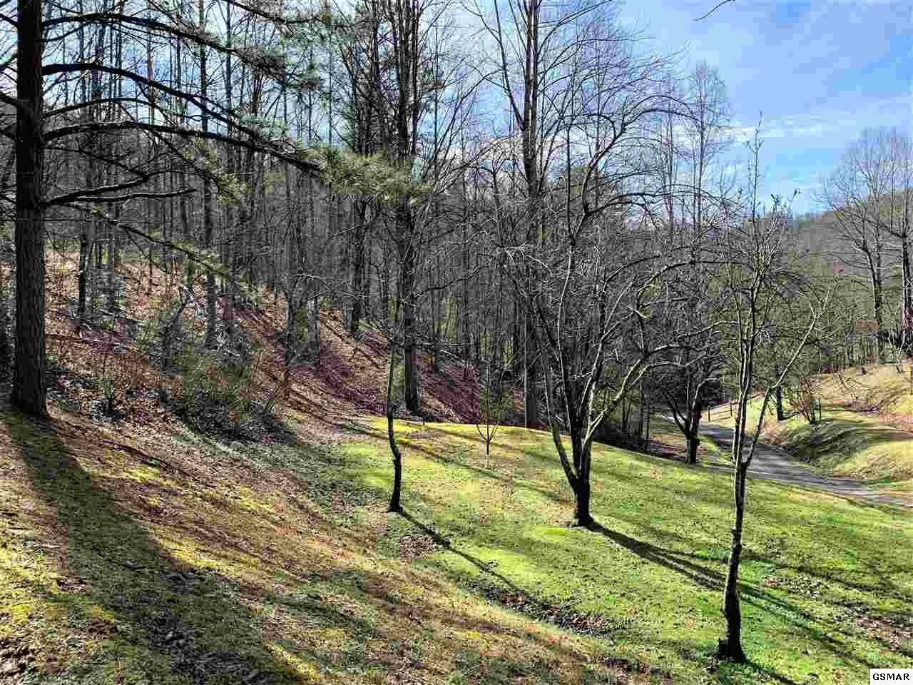 933 Caney Creek Road Sevierville, TN 37863 - Photo 23 of 36