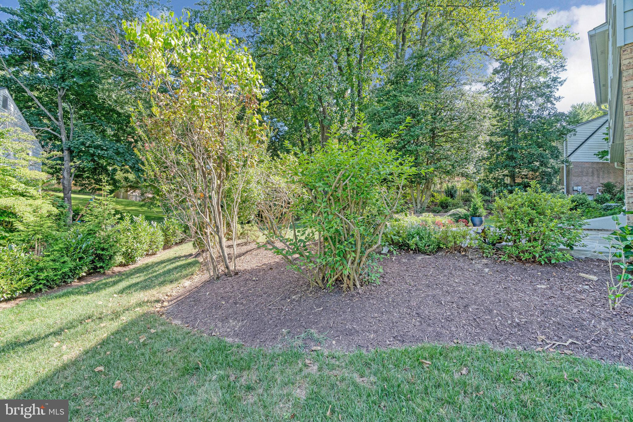 1221 Old Stable Road McLean, VA 22102 - Photo 65 of 73 Extensive landscaping throughout garden