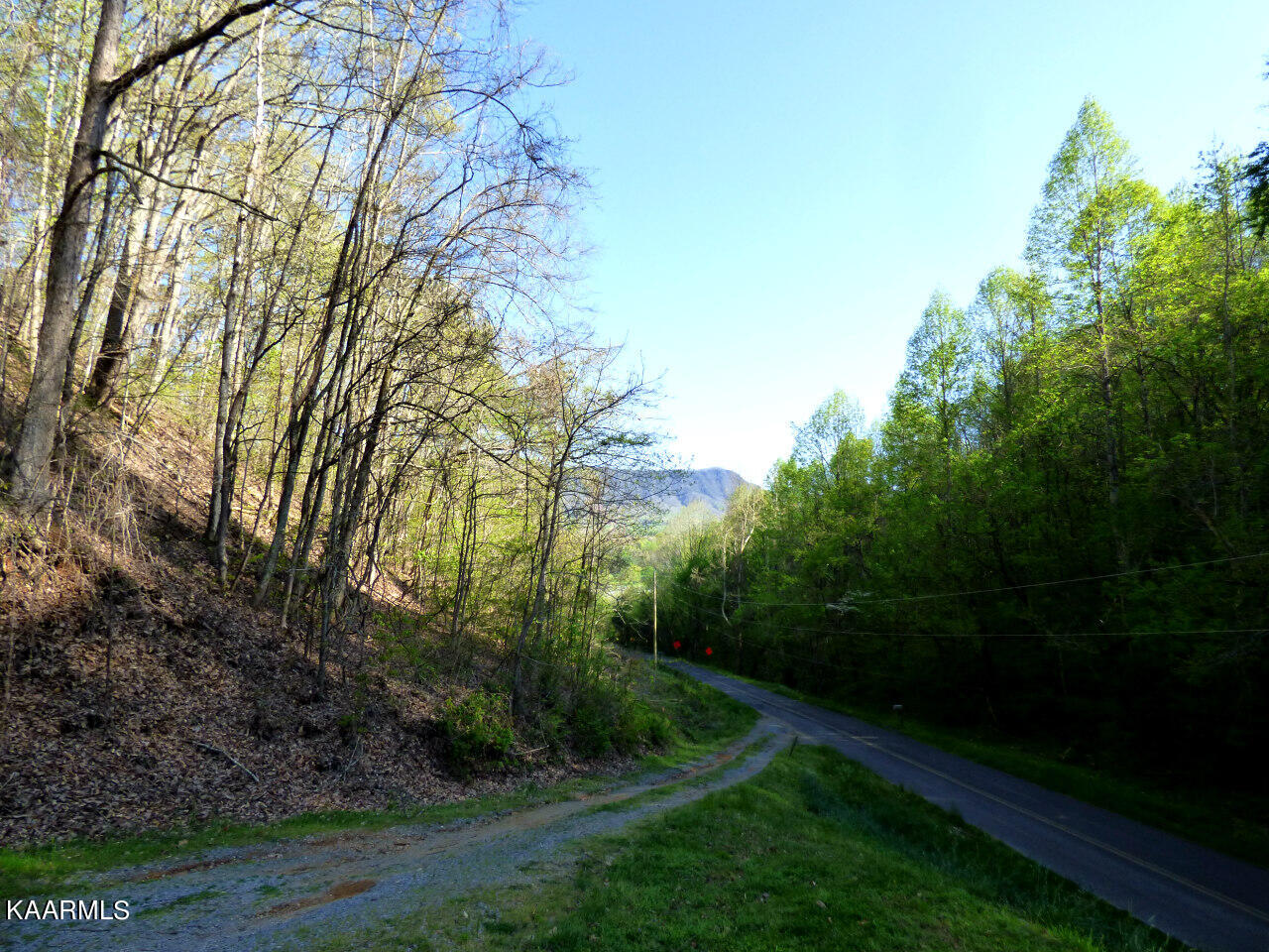 2692 Lower Rinehart Road Dandridge, TN 37725 - Photo 2 of 30 P1250423