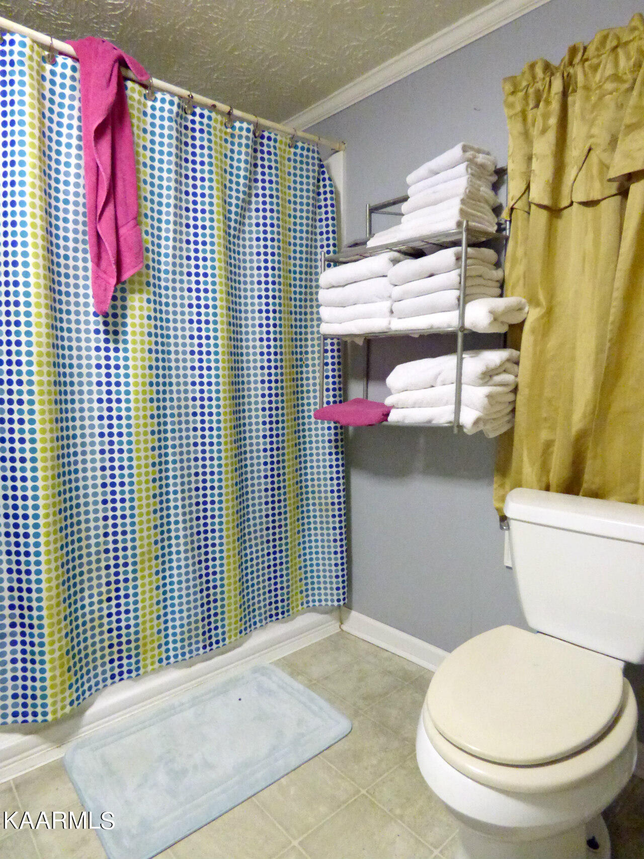 2692 Lower Rinehart Road Dandridge, TN 37725 - Photo 23 of 30 P1250445