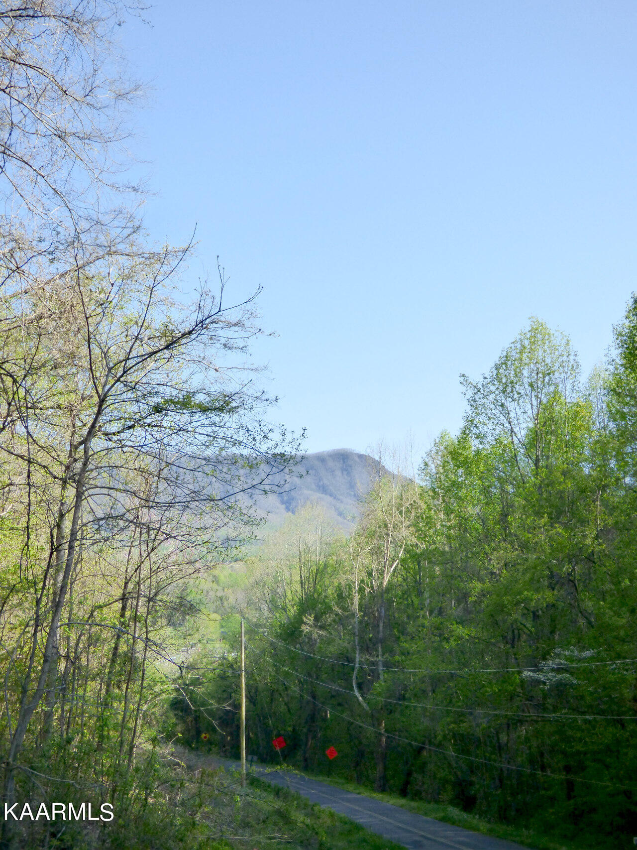 2692 Lower Rinehart Road Dandridge, TN 37725 - Photo 3 of 30 P1250424
