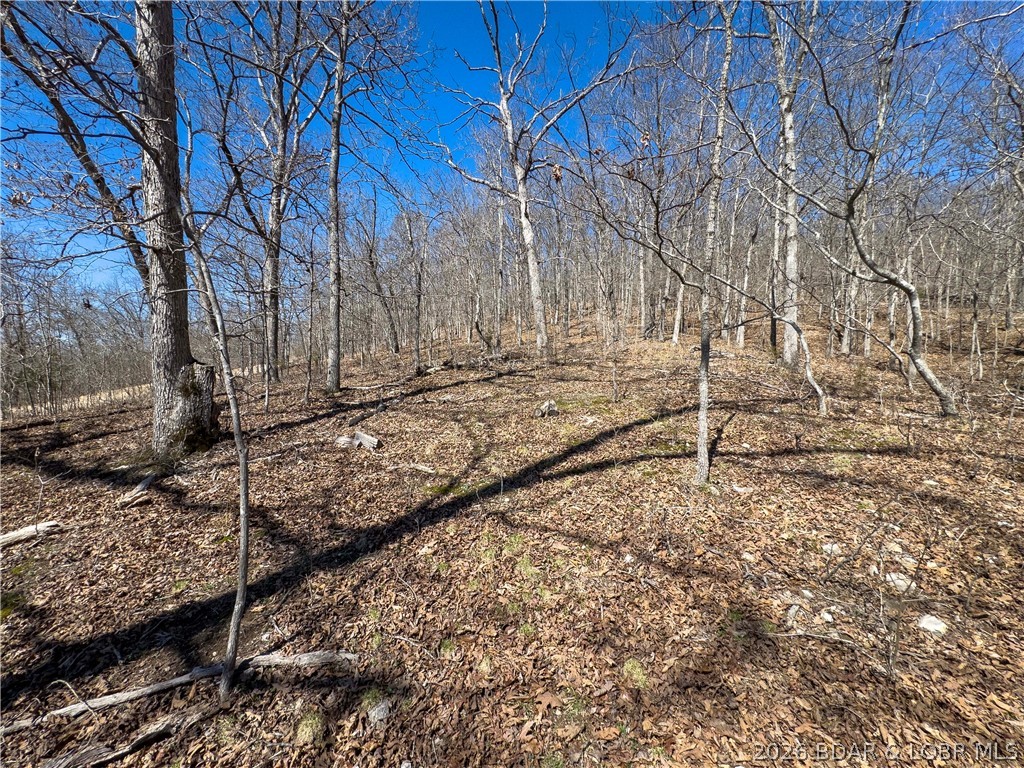 Central Ozarks Road Edwards, MO 65326 - Photo 16 of 37 Wooded Acreage