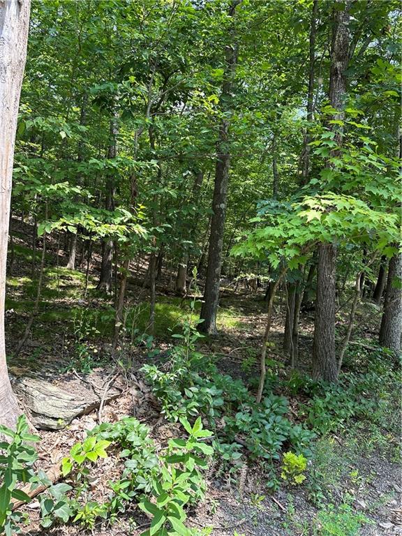 Glasco Turnpike, Woodstock, NY 12498 Compass