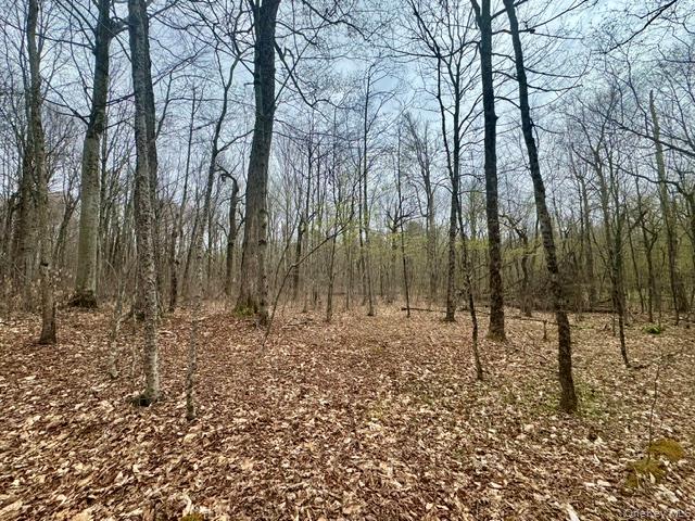 Lot 4 Shaver Hill Road Meridale, NY 13806 - Photo 25 of 45 Gallery Image 25