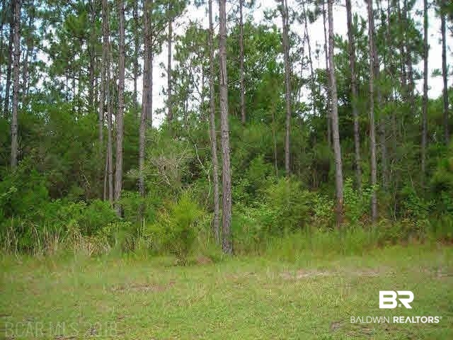 Lot 24 Bay Point Drive Elberta, AL 36530 - Photo 6 of 8