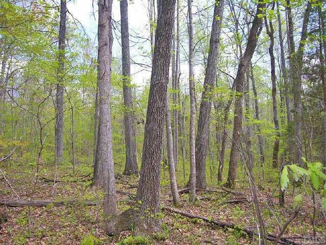 0 Cedar Grove Church Road, Unit 3 Roxboro, NC 27574 - Photo 2 of 7 a view of a backyard