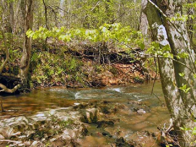 0 Cedar Grove Church Road, Unit 3 Roxboro, NC 27574 - Photo 5 of 7 a view of lake
