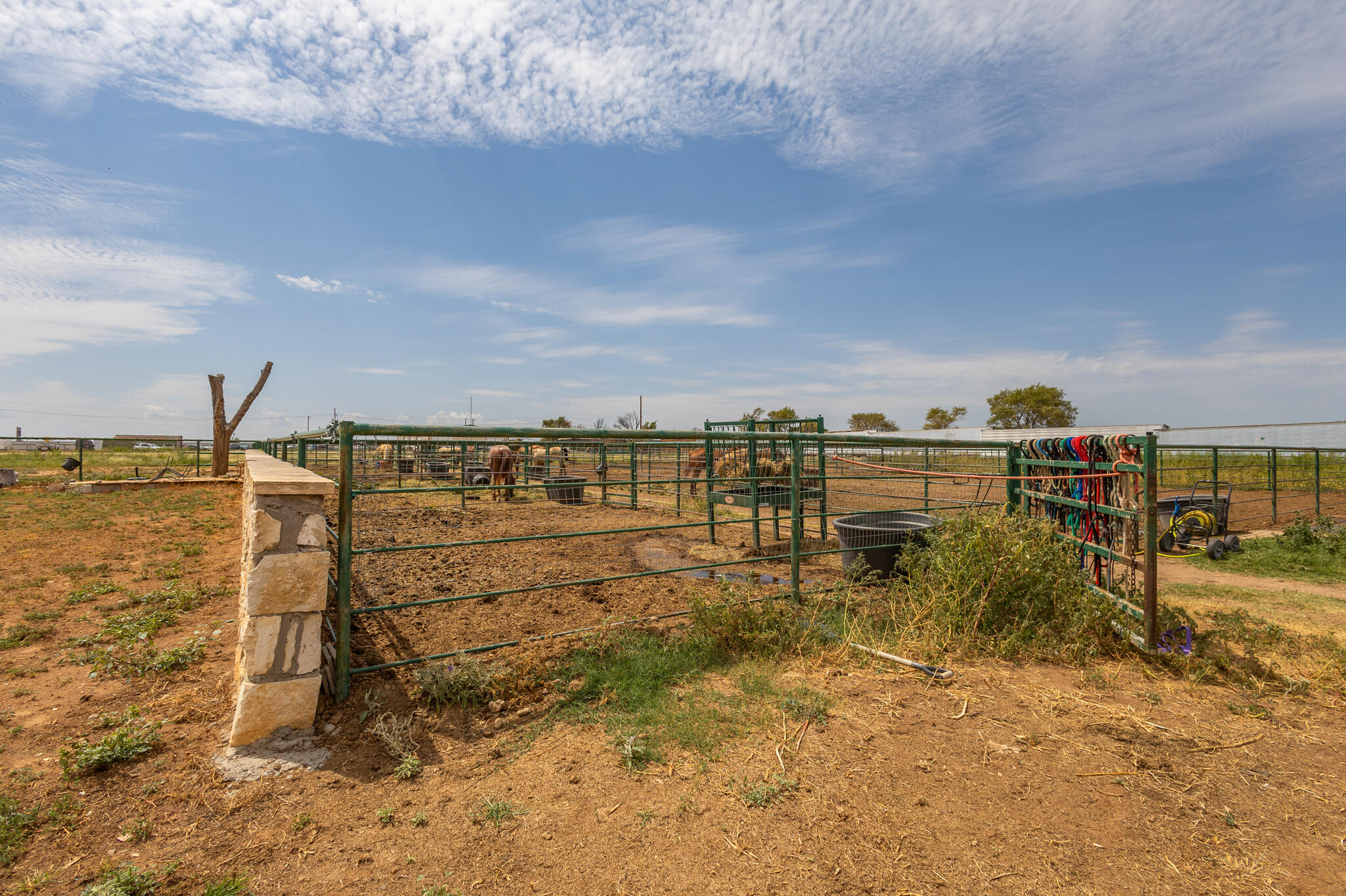 3401 East Regis Street Lubbock, TX 79403 - Photo 41 of 65 3401 E Regis-26 (1)