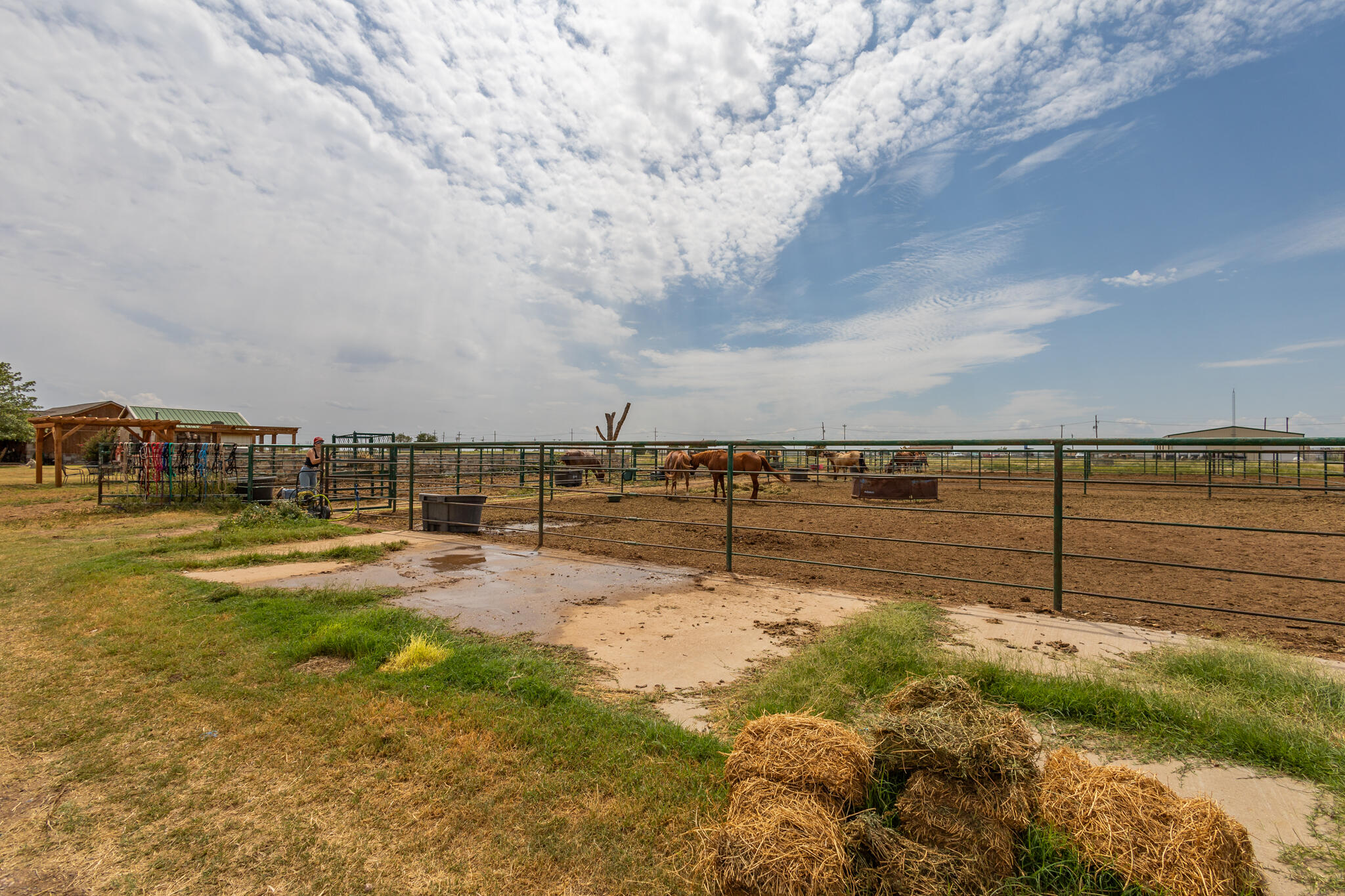 3401 East Regis Street Lubbock, TX 79403 - Photo 42 of 65 3401 E Regis-25 (1)