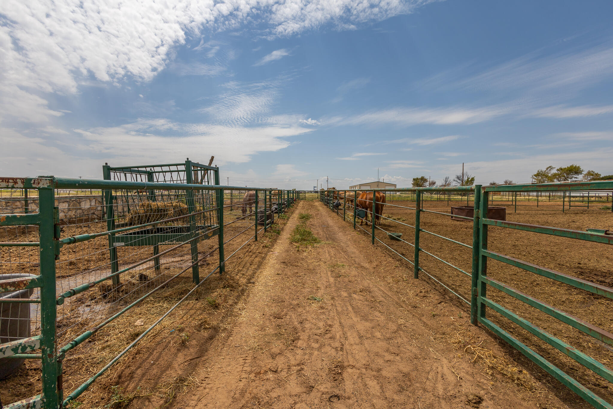 3401 East Regis Street Lubbock, TX 79403 - Photo 43 of 65 3401 E Regis-24 (2)