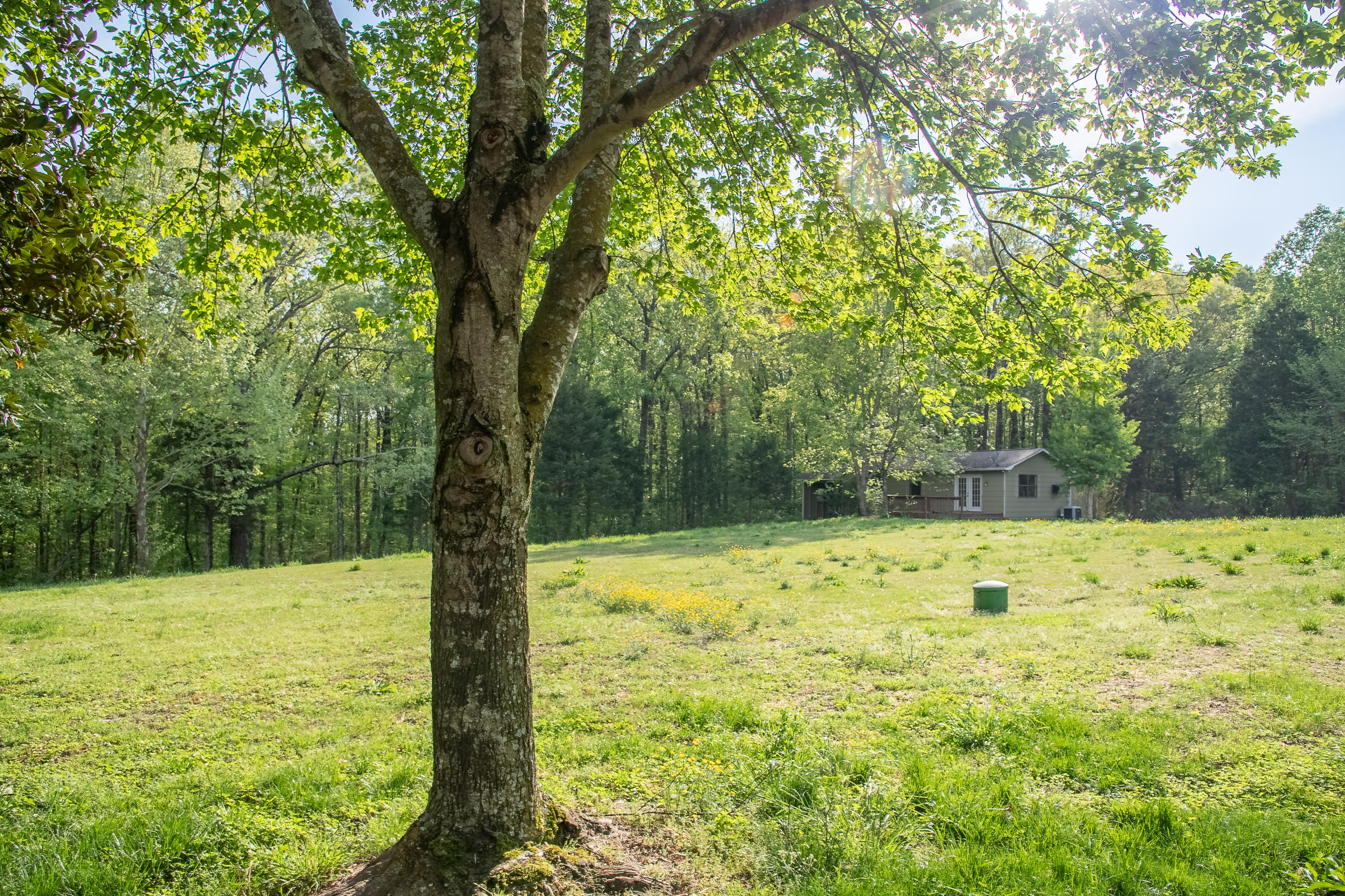442 Bellfounte Road Northeast, Unit NE Cleveland, TN 37312 - Photo 6 of 40 Bellfounte-6