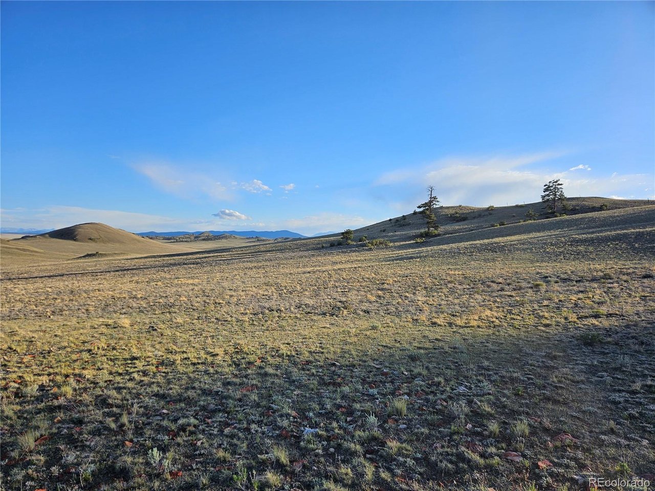 24142 Antero Road Hartsel, CO 80449 - Photo 46 of 48