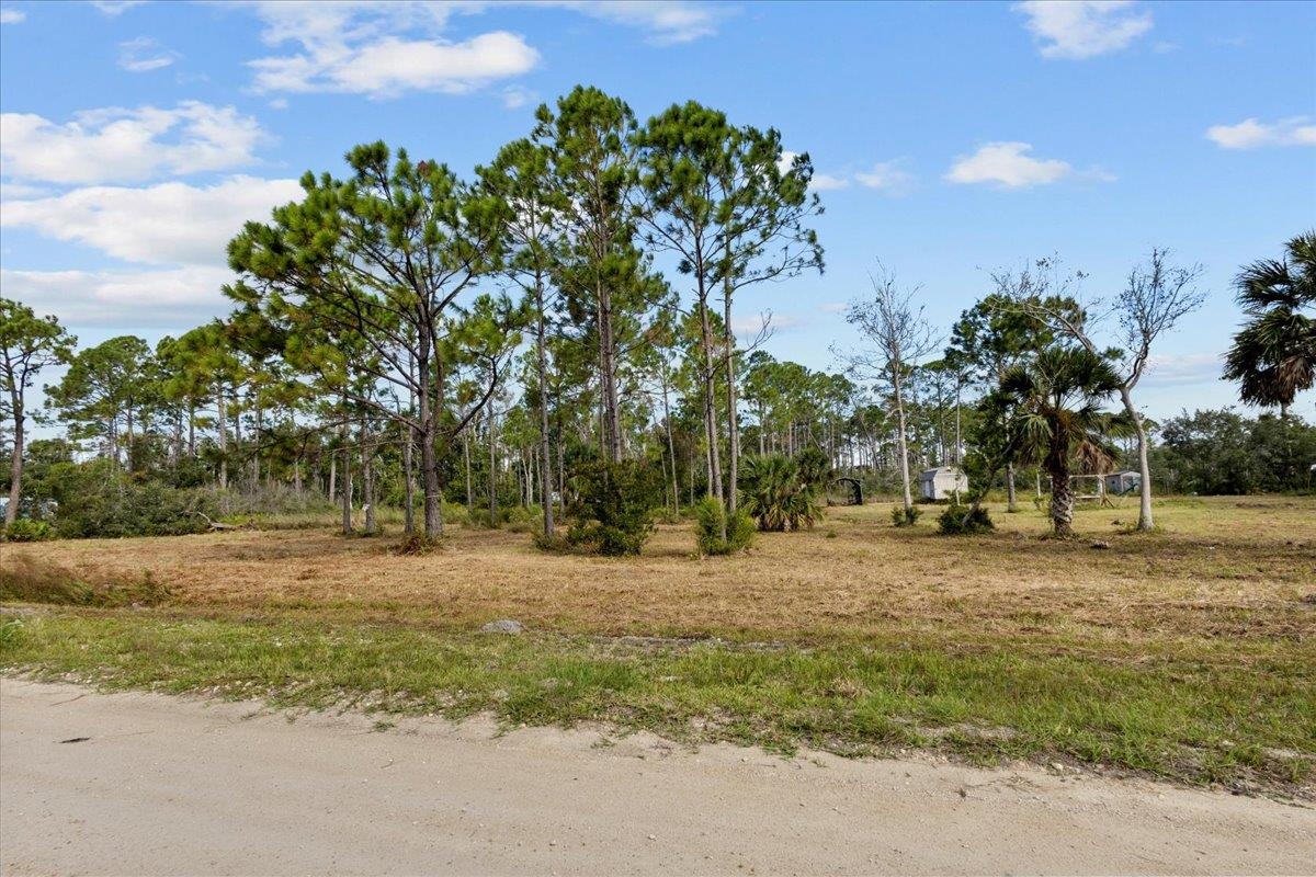 17103 West Royal Oak Drive Perry, FL 32348 - Photo 2 of 28