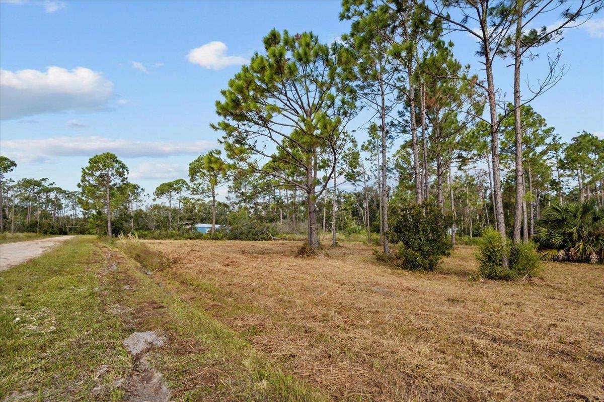 17103 West Royal Oak Drive Perry, FL 32348 - Photo 5 of 28