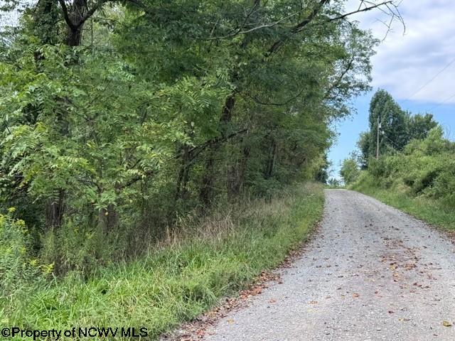 Tbd Massie Hollow Road Rivesville, WV 26588 - Photo 24 of 26 Gallery Image 24