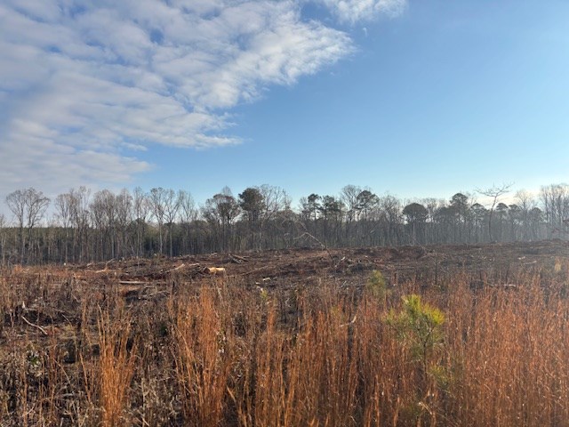- Chipley Road Greenwood, SC 29646 - Photo 28 of 34