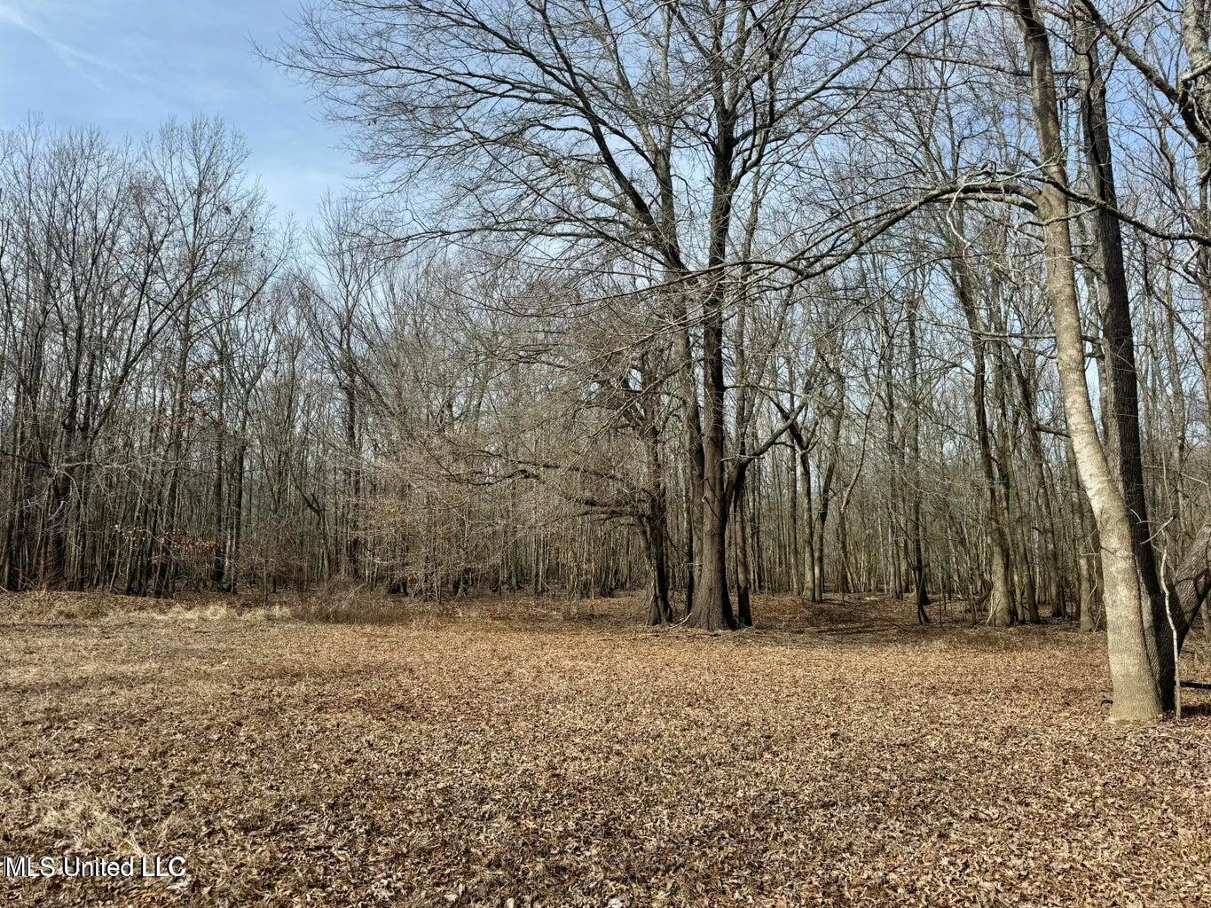 Putnam Road Belzoni, MS 39038 - Photo 11 of 63 20250130141227733751000000-o