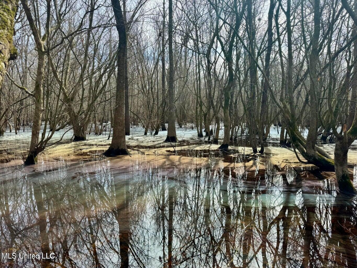 Putnam Road Belzoni, MS 39038 - Photo 12 of 63 20250130141233478757000000-o