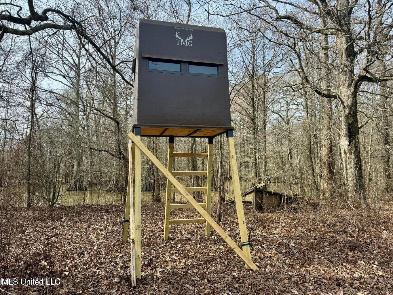 Putnam Road Belzoni, MS 39038 - Photo 17 of 63 20250130141259849125000000-o