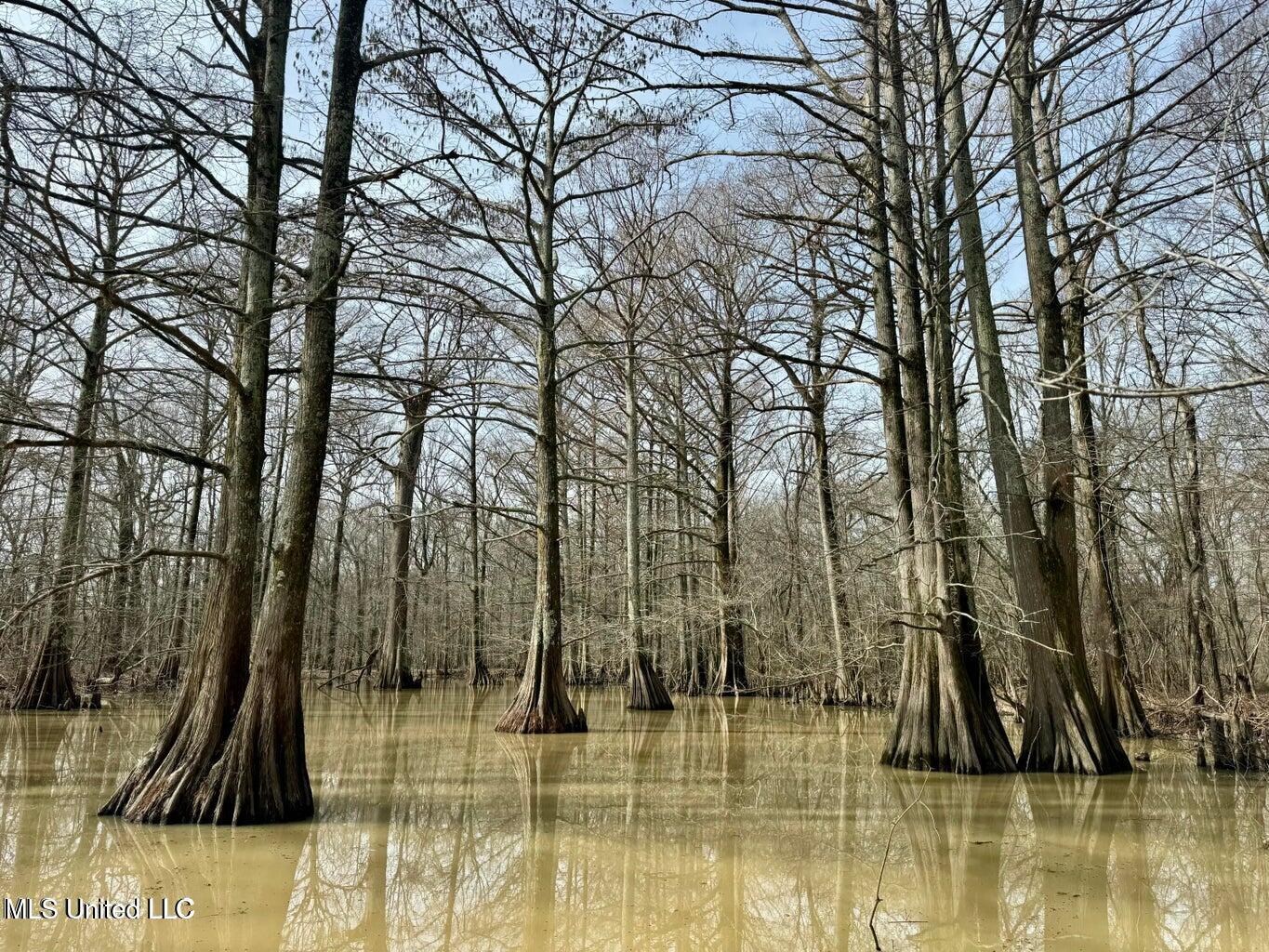 Putnam Road Belzoni, MS 39038 - Photo 18 of 63 20250130141304583180000000-o