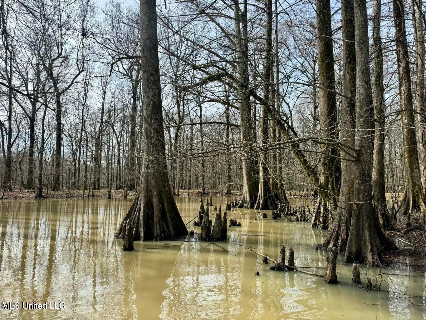 Putnam Road Belzoni, MS 39038 - Photo 20 of 63 20250130141313164184000000-o