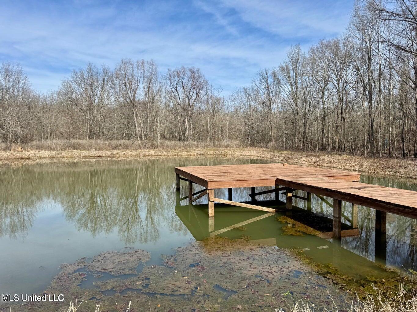 Putnam Road Belzoni, MS 39038 - Photo 2 of 63 20250130131000982946000000-o