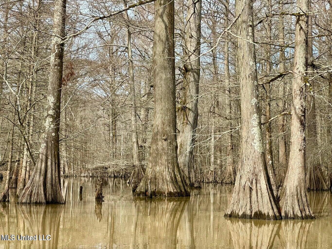Putnam Road Belzoni, MS 39038 - Photo 23 of 63 20250130141326644733000000-o