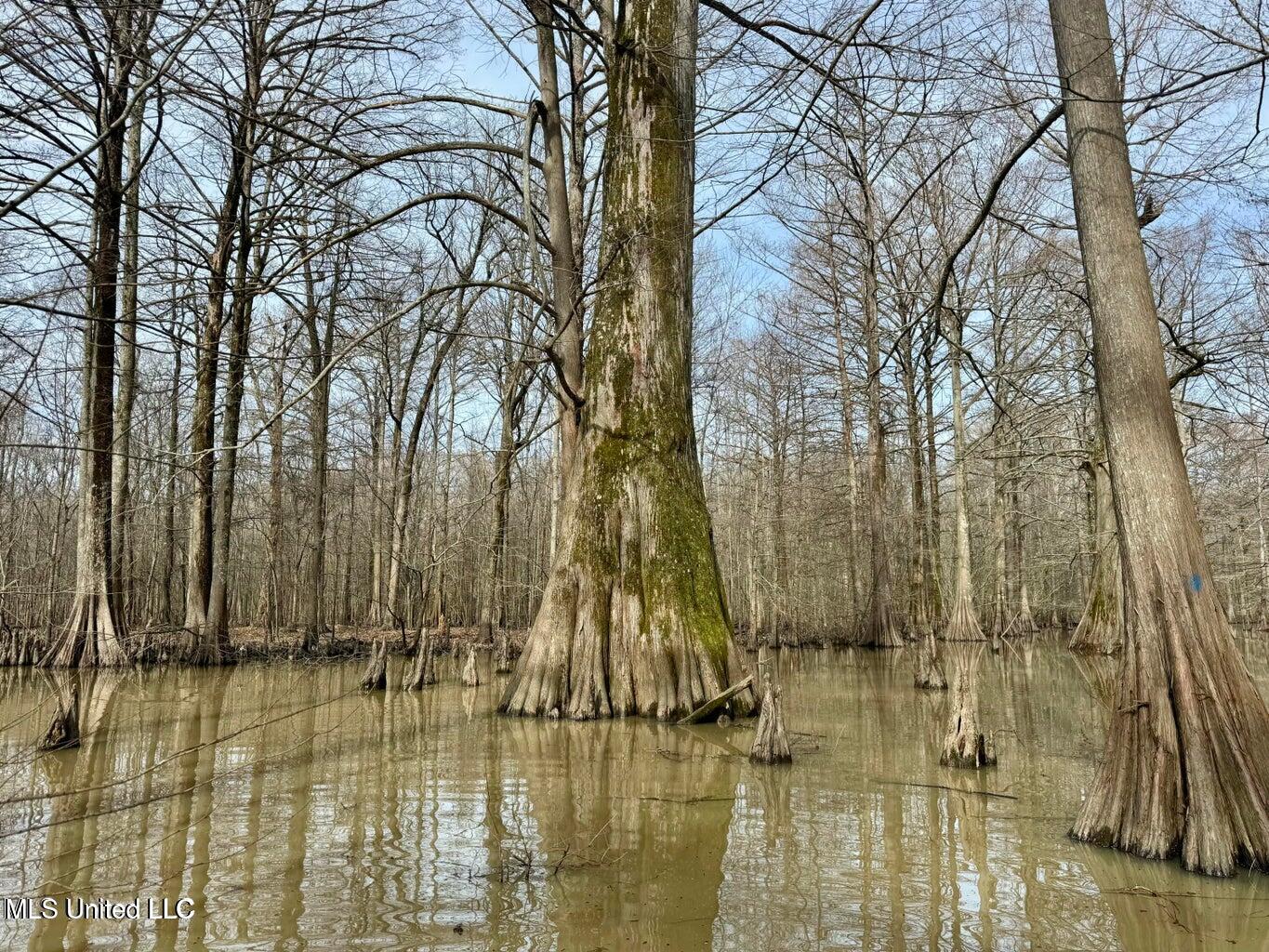 Putnam Road Belzoni, MS 39038 - Photo 25 of 63 20250130141332459618000000-o