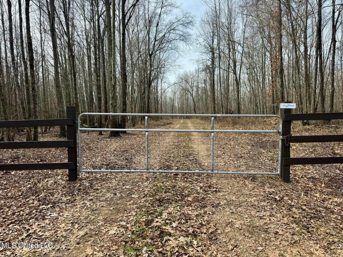 Putnam Road Belzoni, MS 39038 - Photo 27 of 63 20250130141339882546000000-o