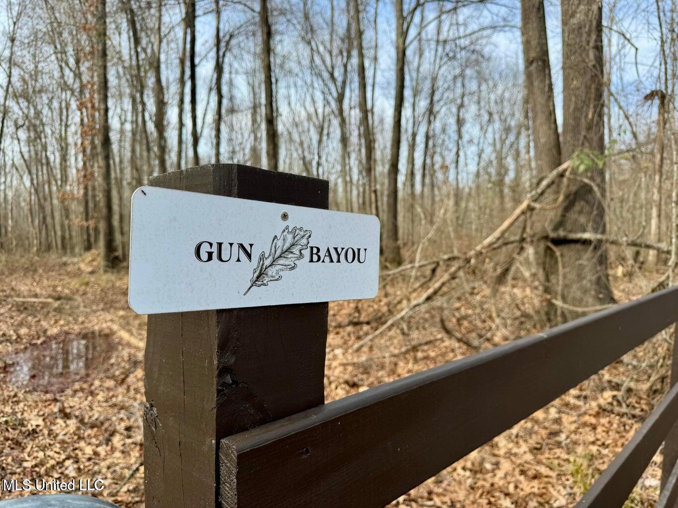 Putnam Road Belzoni, MS 39038 - Photo 28 of 63 20250130141343591231000000-o