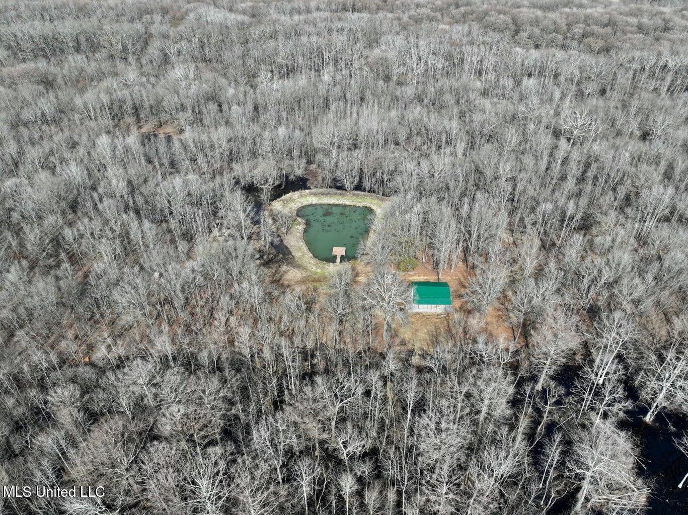 Putnam Road Belzoni, MS 39038 - Photo 31 of 63 20250130232053393080000000-o