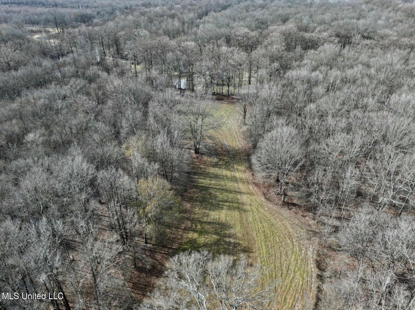 Putnam Road Belzoni, MS 39038 - Photo 32 of 63 20250130232057742306000000-o