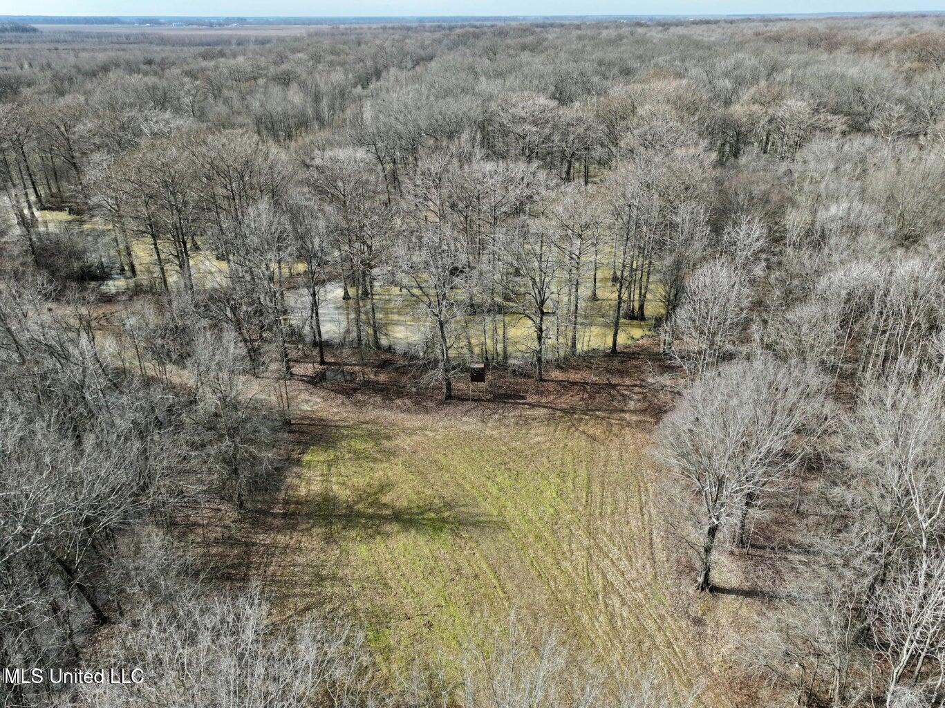 Putnam Road Belzoni, MS 39038 - Photo 33 of 63 20250130232102302078000000-o