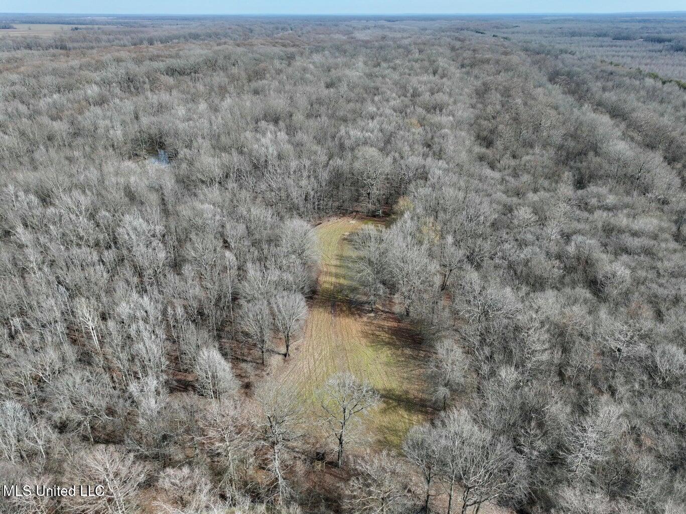 Putnam Road Belzoni, MS 39038 - Photo 34 of 63 20250130232106593734000000-o