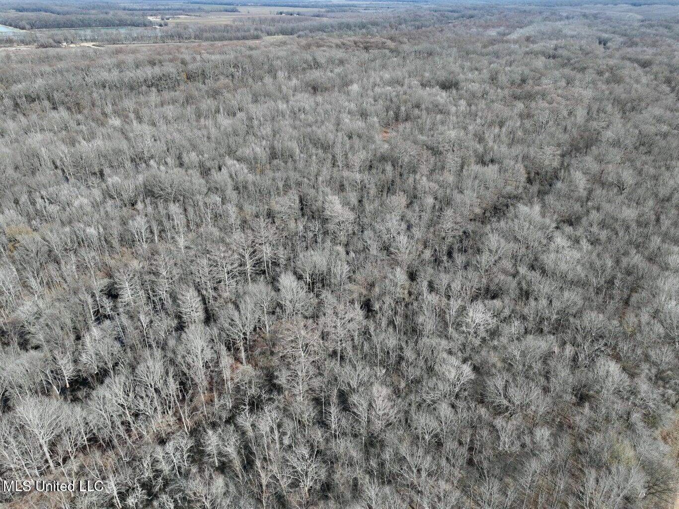 Putnam Road Belzoni, MS 39038 - Photo 36 of 63 20250130232110844816000000-o